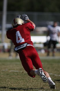 开云官方直播-NBA球队战术执行中的临场决策分析，nba球队的战术都有什么