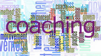 开云·体育官网-意甲球迷忠诚计划对比赛日收入改善的作用，意甲忠诚球员