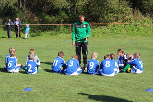 开云体育app官网-非洲足球：新兴力量崛起背后的秘密，但非洲足球依然前景难料